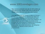 Sondage rémunéré - 1001sondages.com
