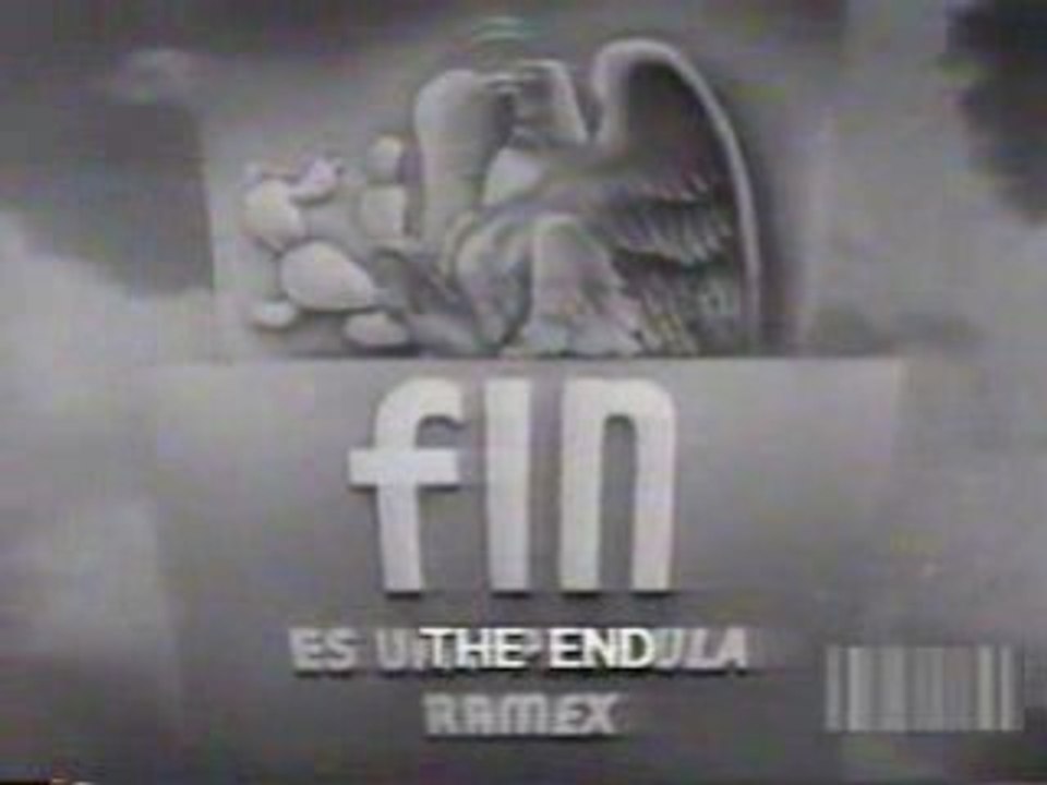Fin