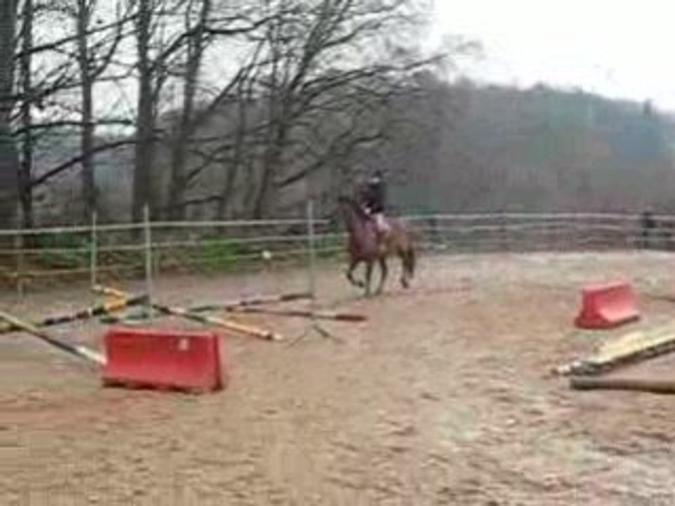 Cours Galop 5 samedi 20/12/08