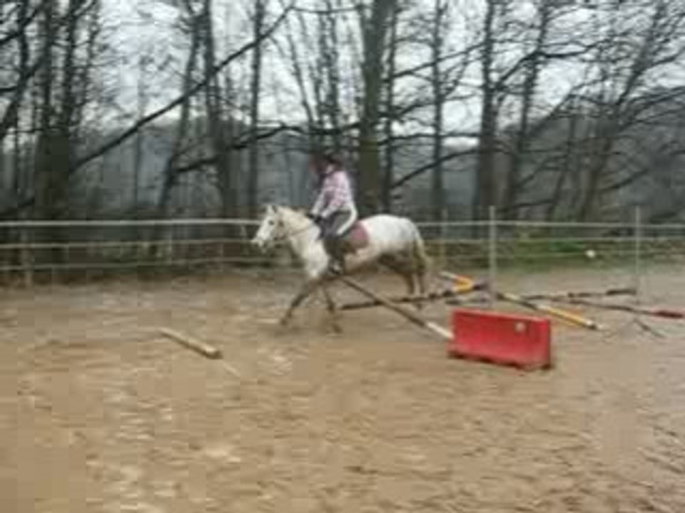 Cours Galop 5 samedi 20/12/08