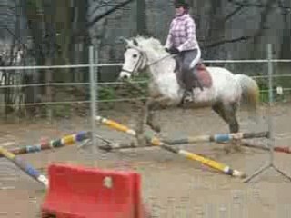 Cours Galop 5 samedi 20/12/08