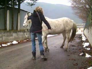 Toundra et orelle 23-12-2008