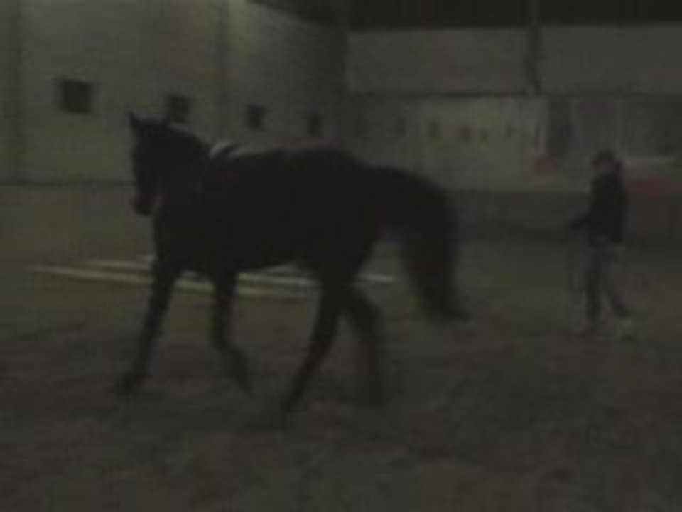 Barres au sol main droite