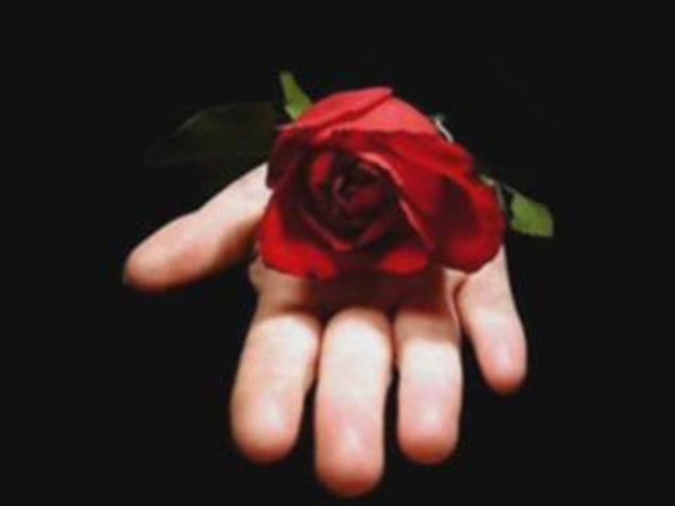 Francis Cabrel - Quand j'aime une fois