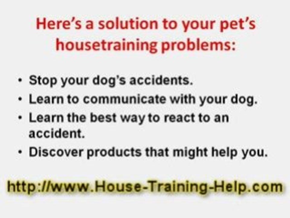Trouble Housebreaking Dog? Get Answers Here