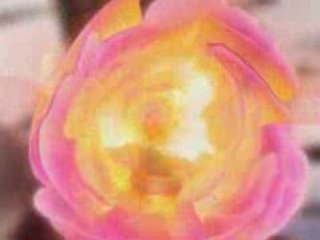 Dynasty Warriors 6 intro