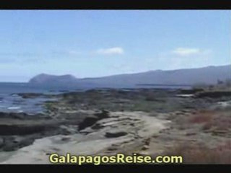 Night at the Galapagos Islands