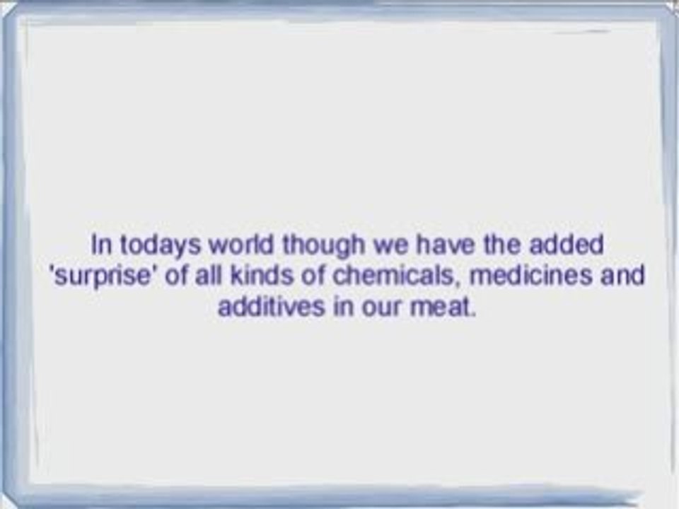 Thinking Of Feeding Your Dog A Raw Dog Food Diet?