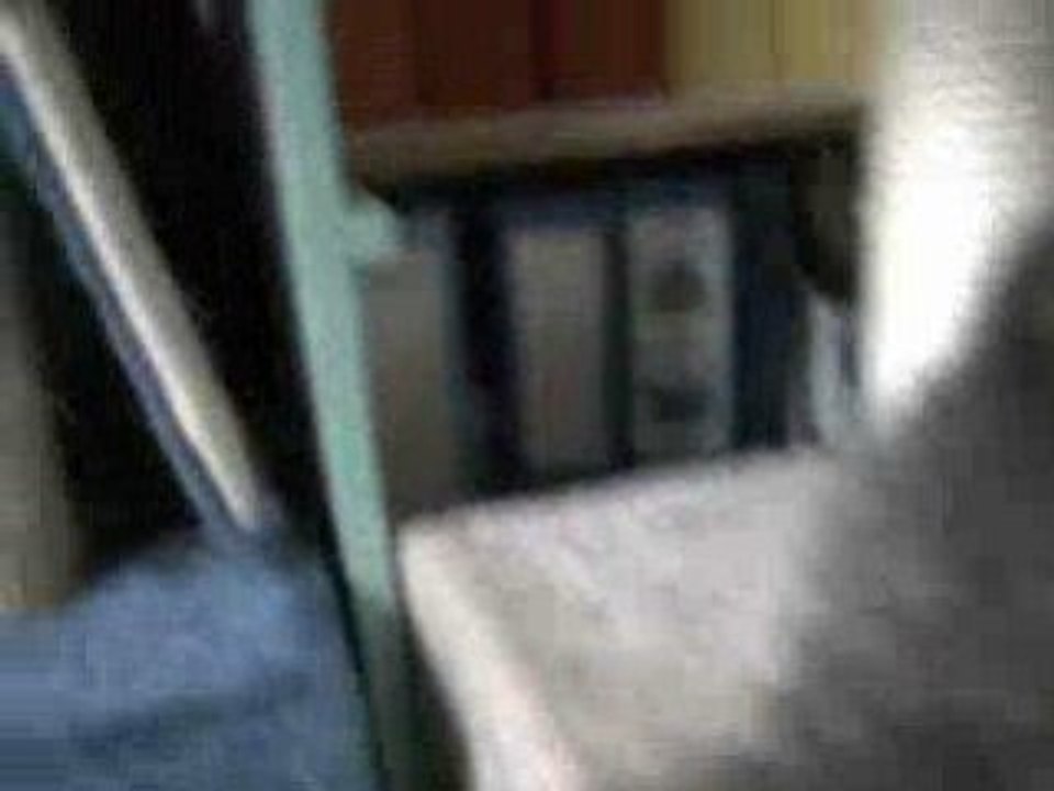 Bébé_7