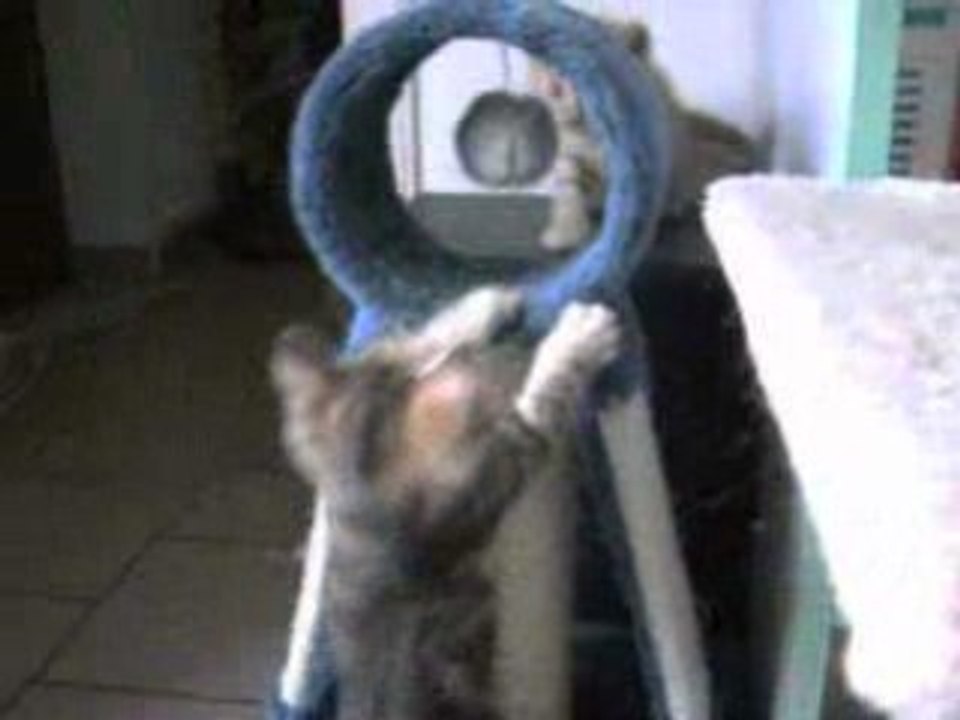 Bébé_8