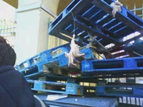 Blocus lycée Fesch ! 18/12/08