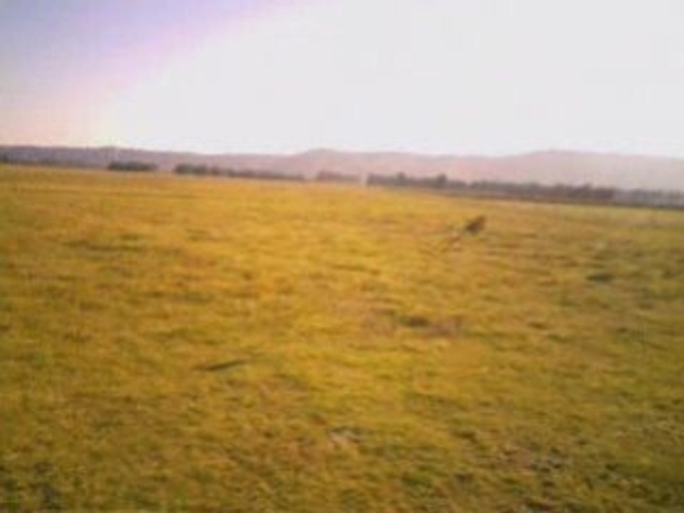 1ères voltiges Belt CP avec rattrapage in-extremis !!!