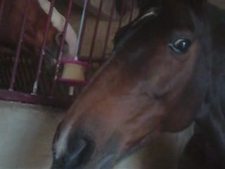 Balade + pierre likit