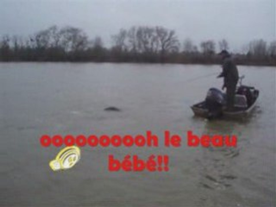 Video silure loire 1m88