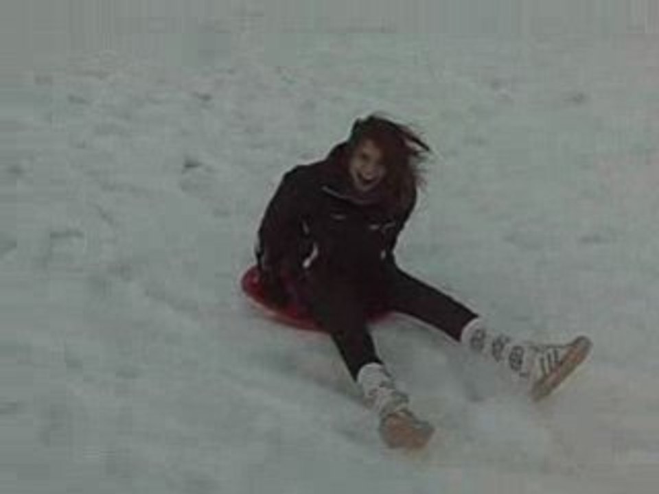 ski Niko Law