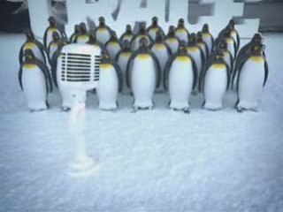 Joyeuses fêtes sur Trace