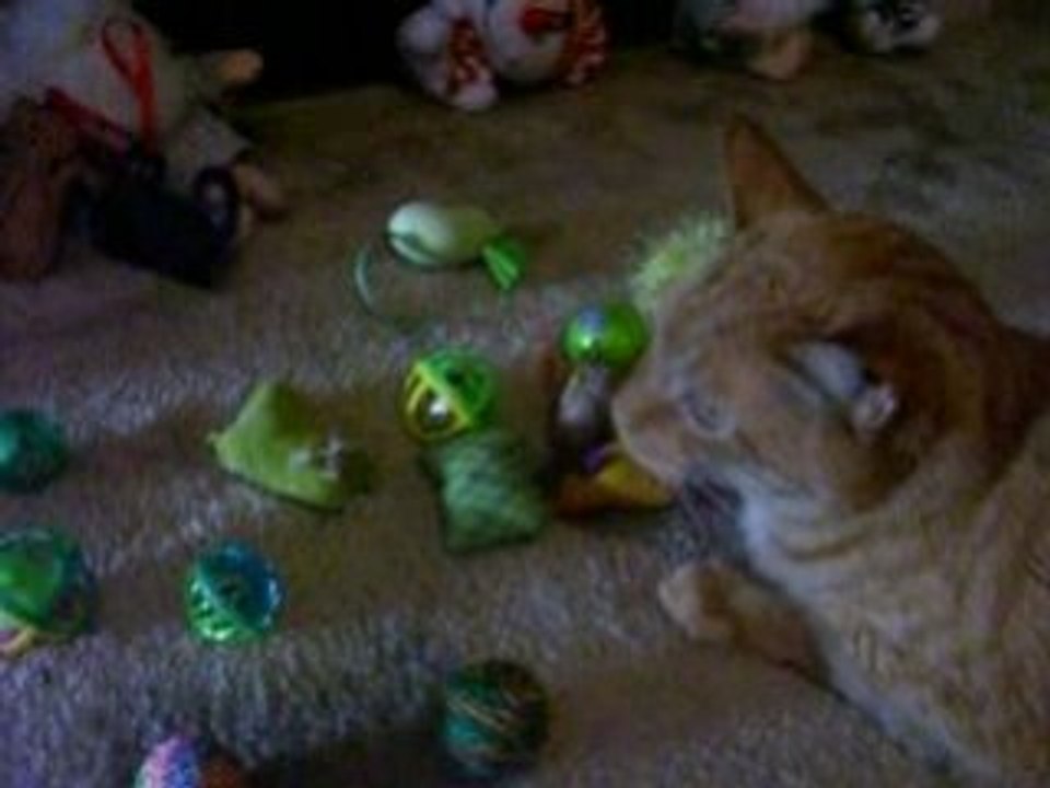 Kitty Christmas 2008 Part 2