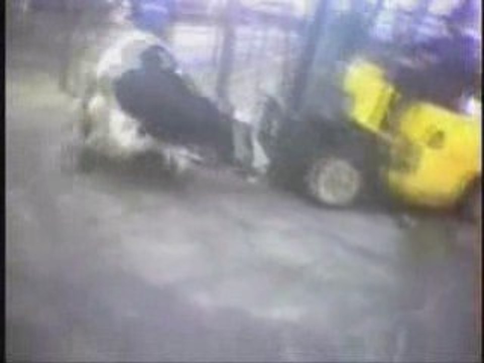 Undercover Video Shows Forklift Operator Running Over a Cow
