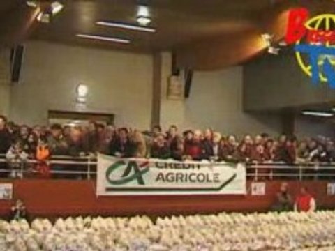 Glorieuses de bresse pont-de-vaux