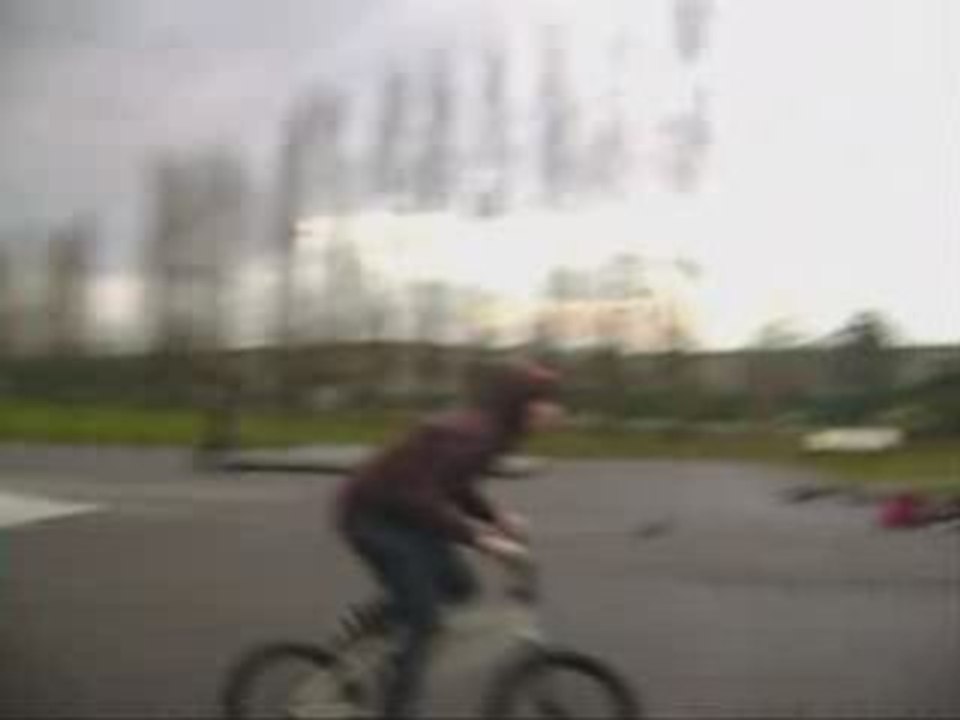 Whip