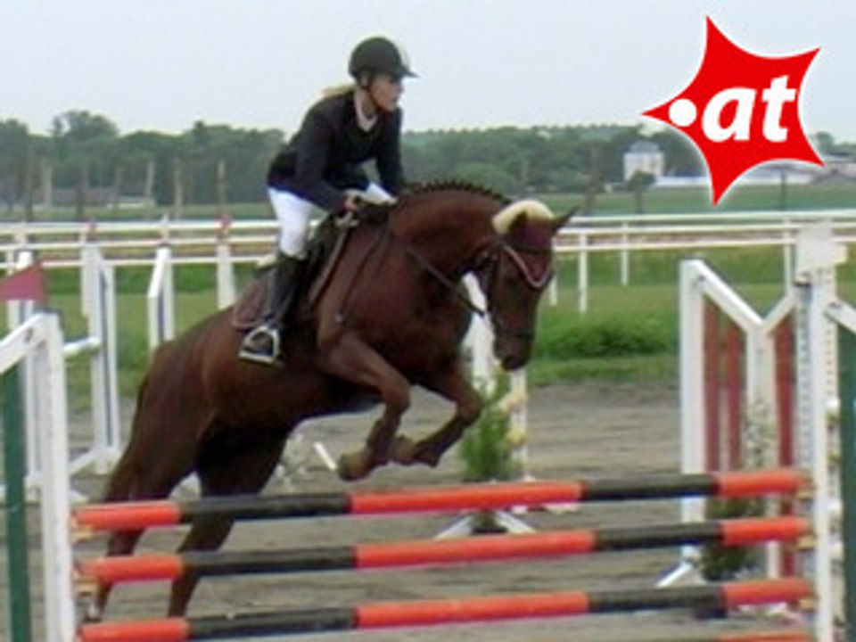 Elisabeth Schwab, Springreiten, Kottingbrunn (2008-047)