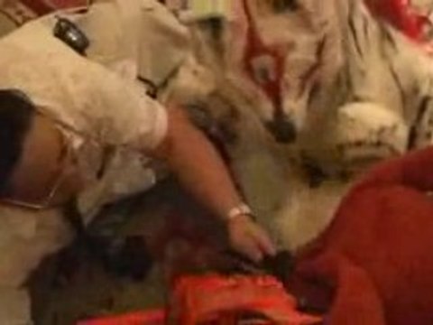 The Fan's POV - The Aftershow - Best of 2008 - Katsucon