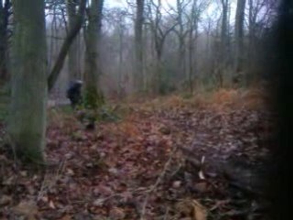 VIDEO_027