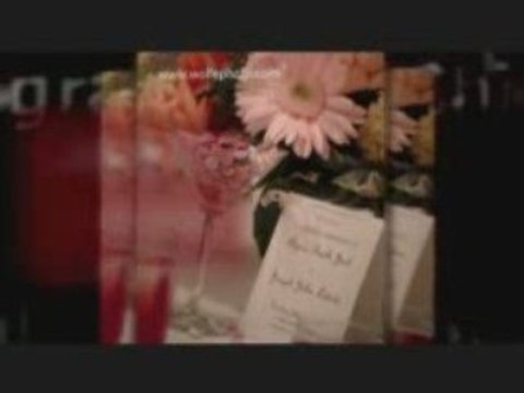 Chicago Wedding Planners,Chicago Photographers