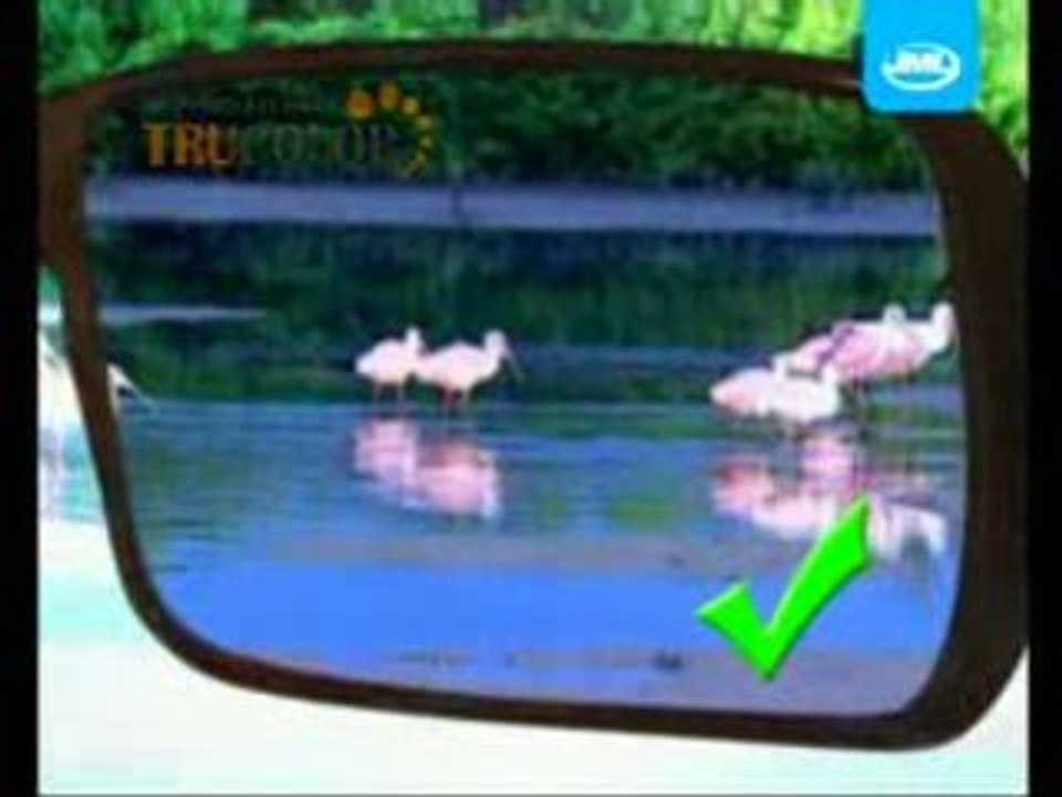 Tru Color  True Colour Sunglasses Set