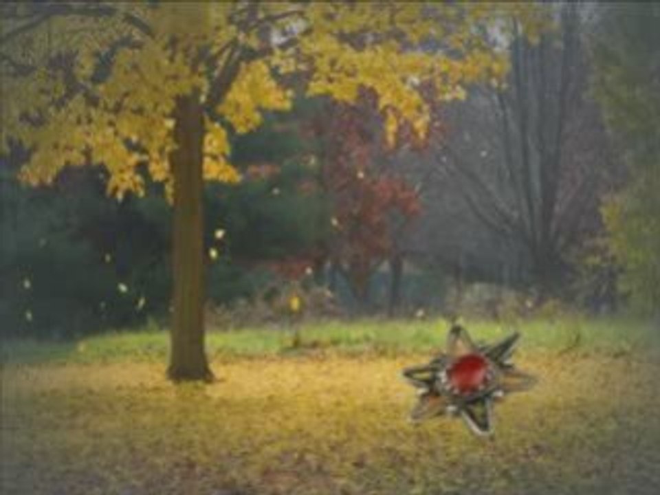 Chanson superbe de Malek Bachi: Anza