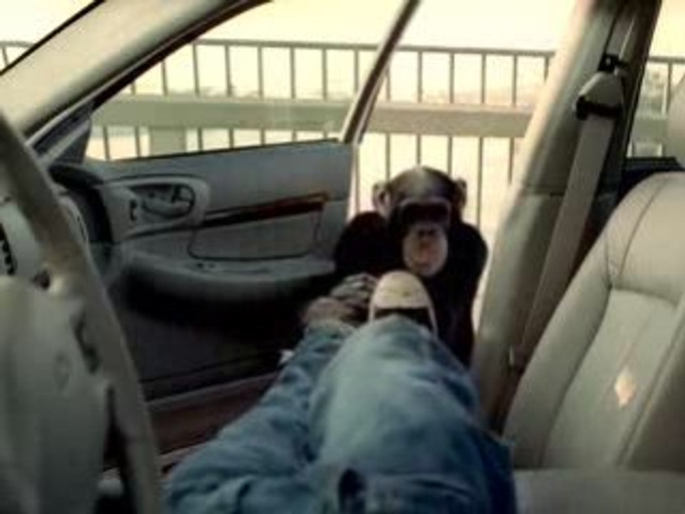 Trunk Monkey 1