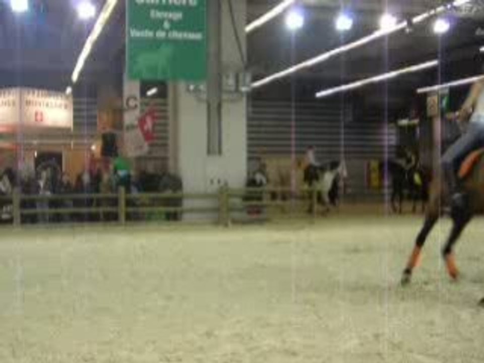 salon du cheval