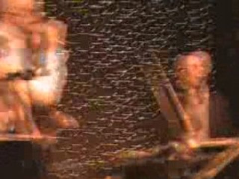 AMM Orchestra (orchestre de varieté)