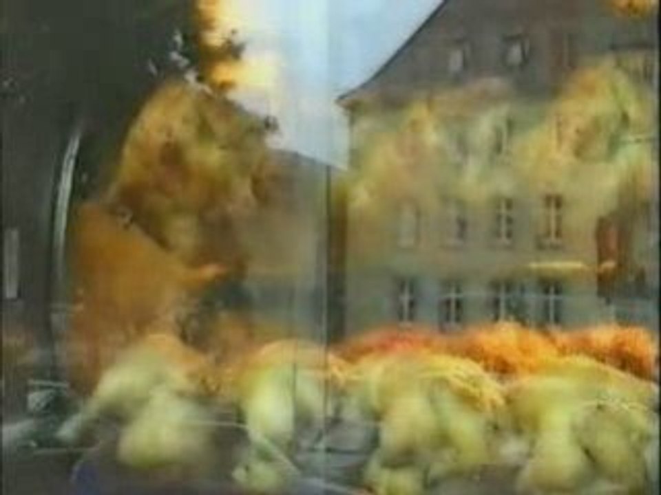 Ich esse Fleisch ich muß es sehen 2. Teil