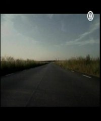 Gunther Sunshine Girls - Tutti Frutti