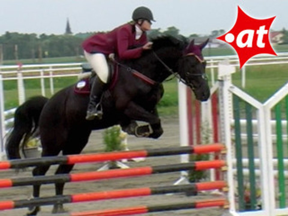 Sybille Prußnat, Springreiten, Kottingbrunn (2008-049)