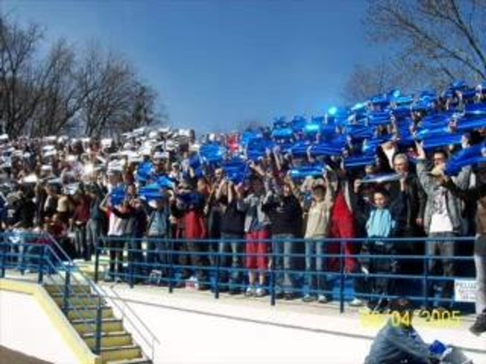 POLI IASI
