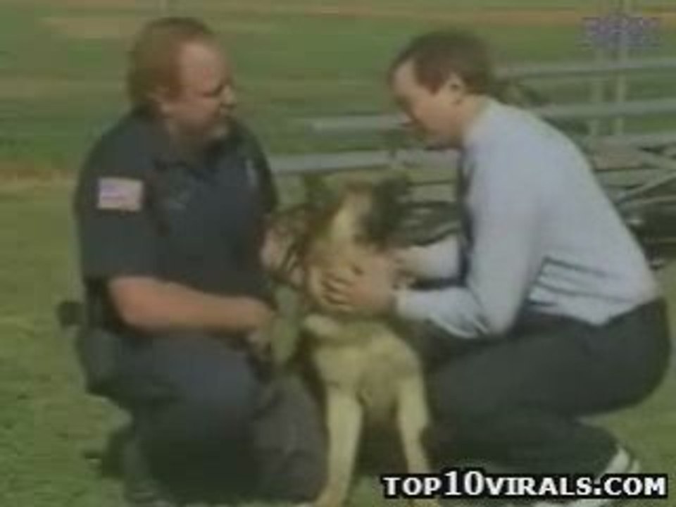 Insane Dog Attack