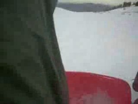 descente du mont ventoux en luge (mont serein)