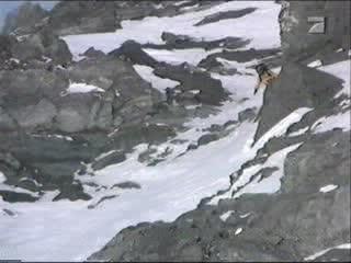 comique-chute  snowboarder