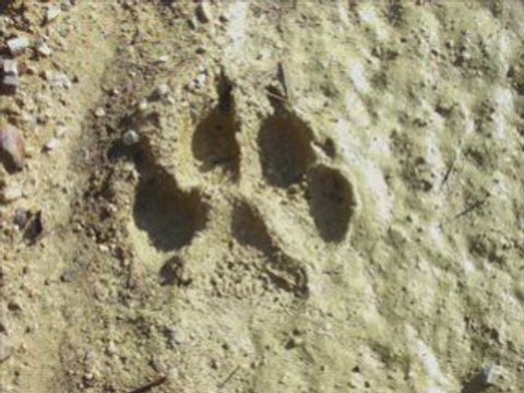 Promenades fin d'automne 2008