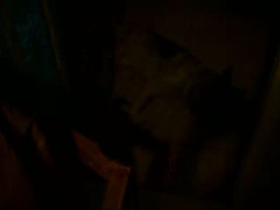 mayotte  976   comores