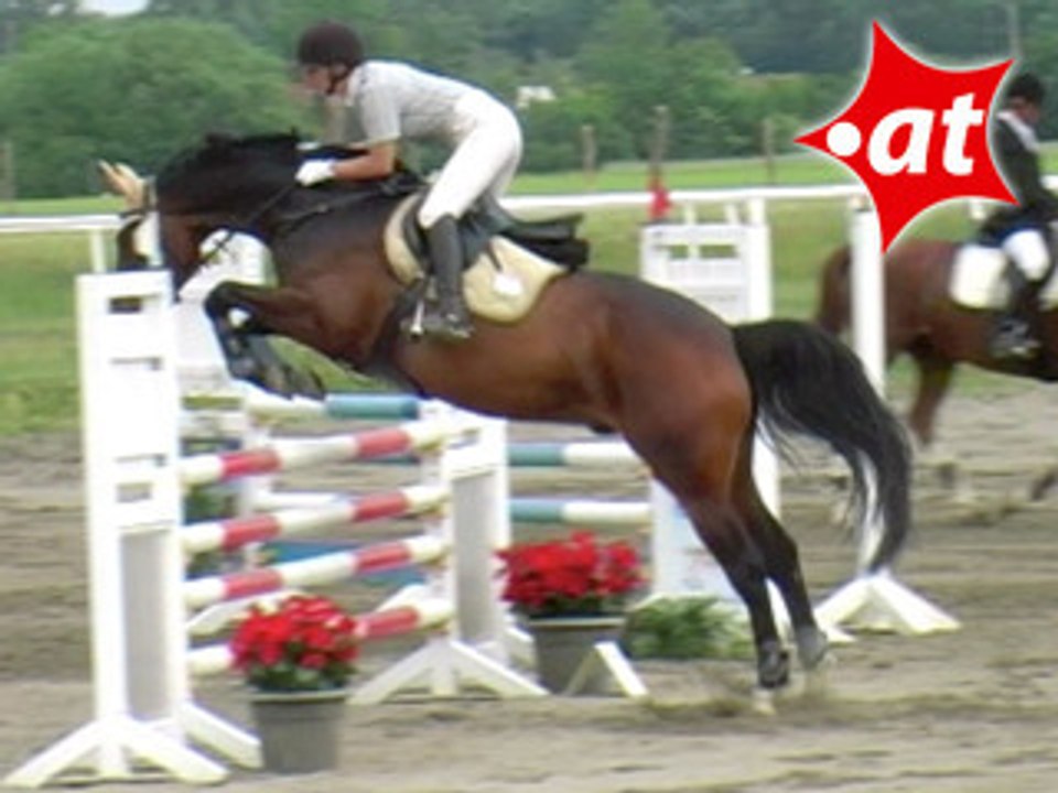 Bettina Castellez, Springreiten, Kottingbrunn (2008-055)