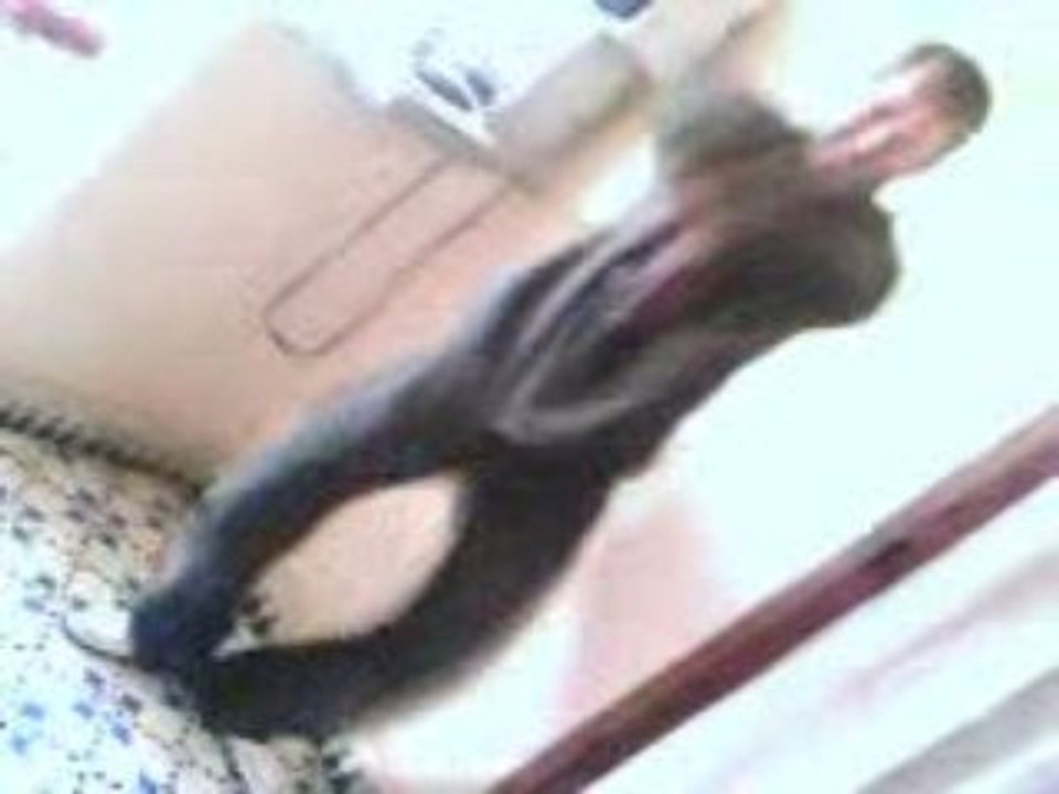 Driss
