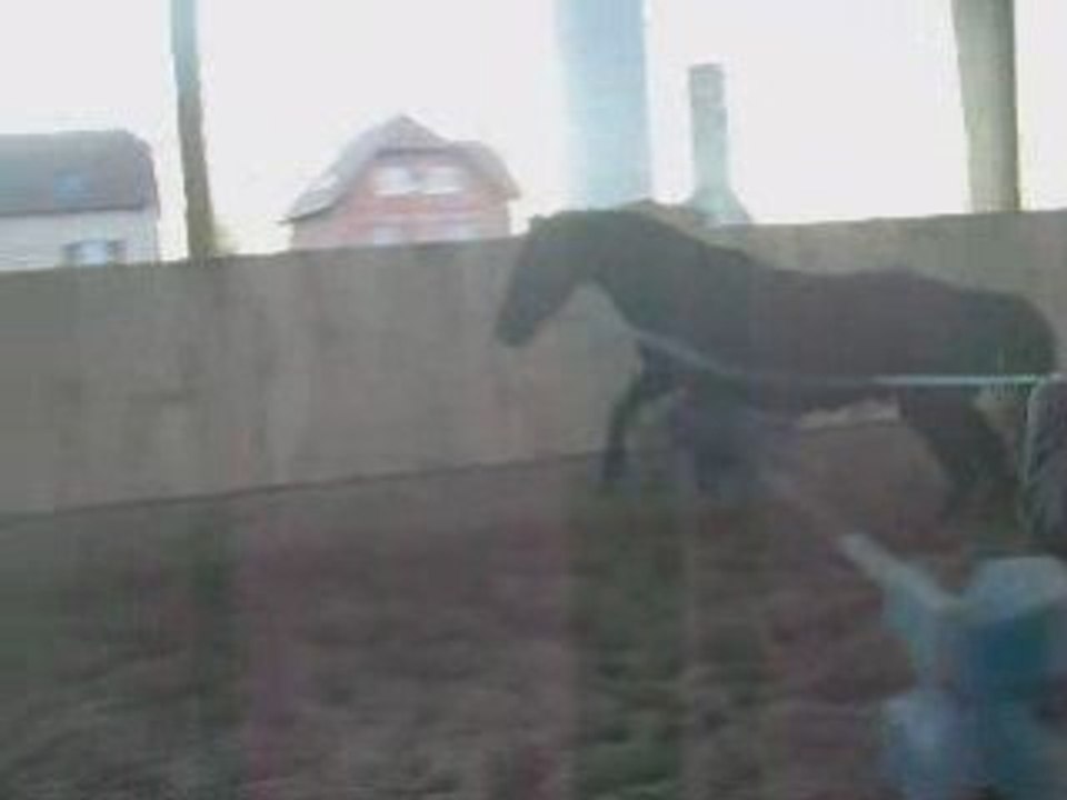 Miracle saut 2