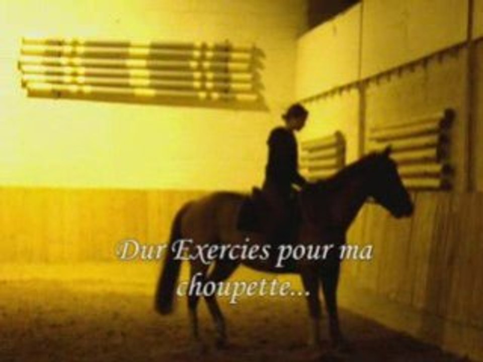 Perle Dressage