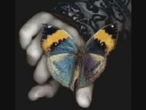 Над Закона - Спомени