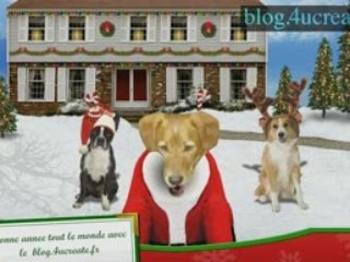 bob le chien chante Jingle Bells (petcentric)