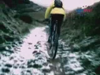 Clavijo Nieve VCD