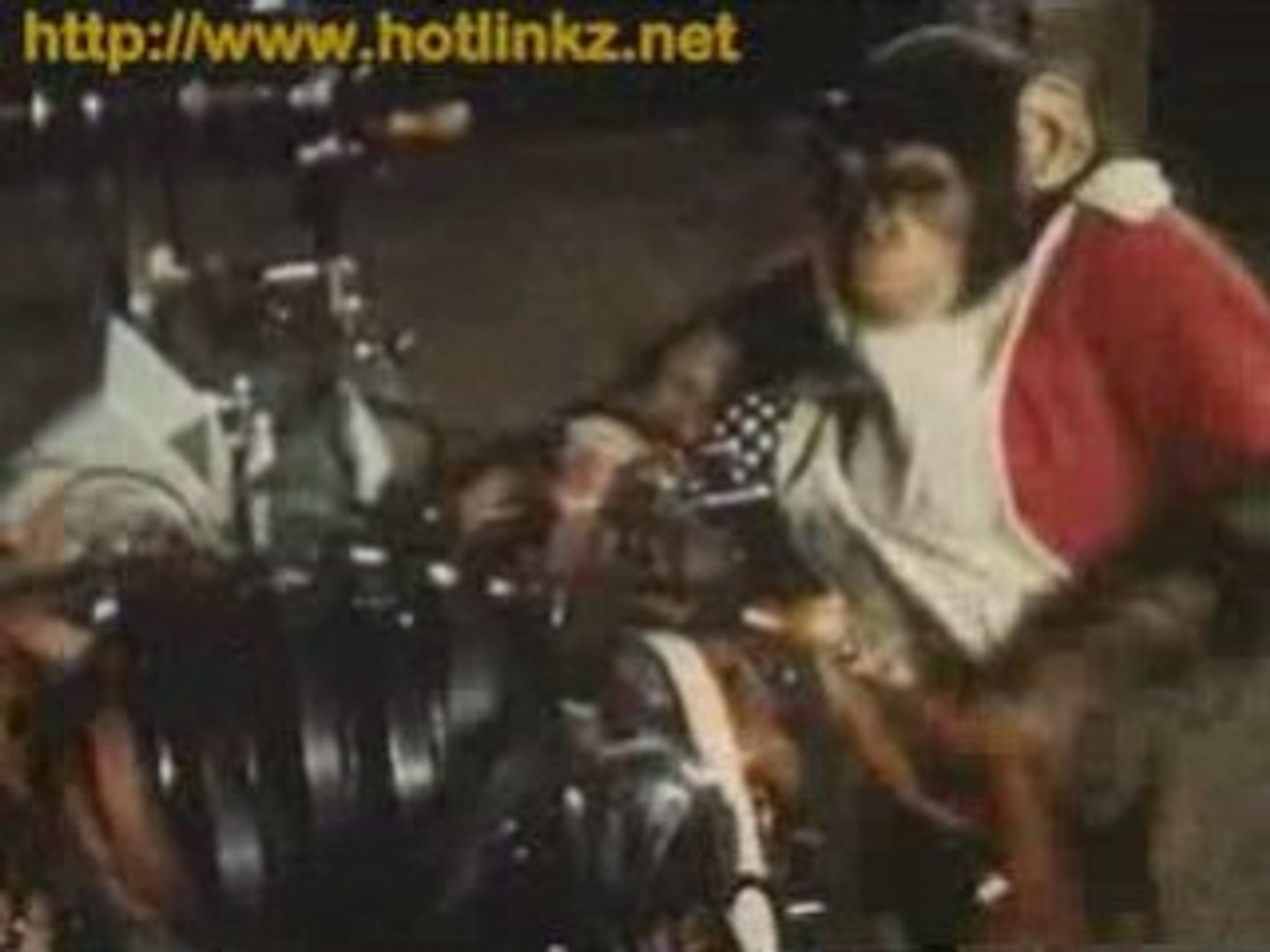 Monkey Movie 1 - Comedy Chimpanzee Spoof